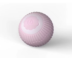 Interactive Ball