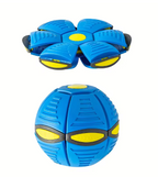 Dog Frisbee