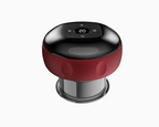 Electric Vacuum Cupping Massager